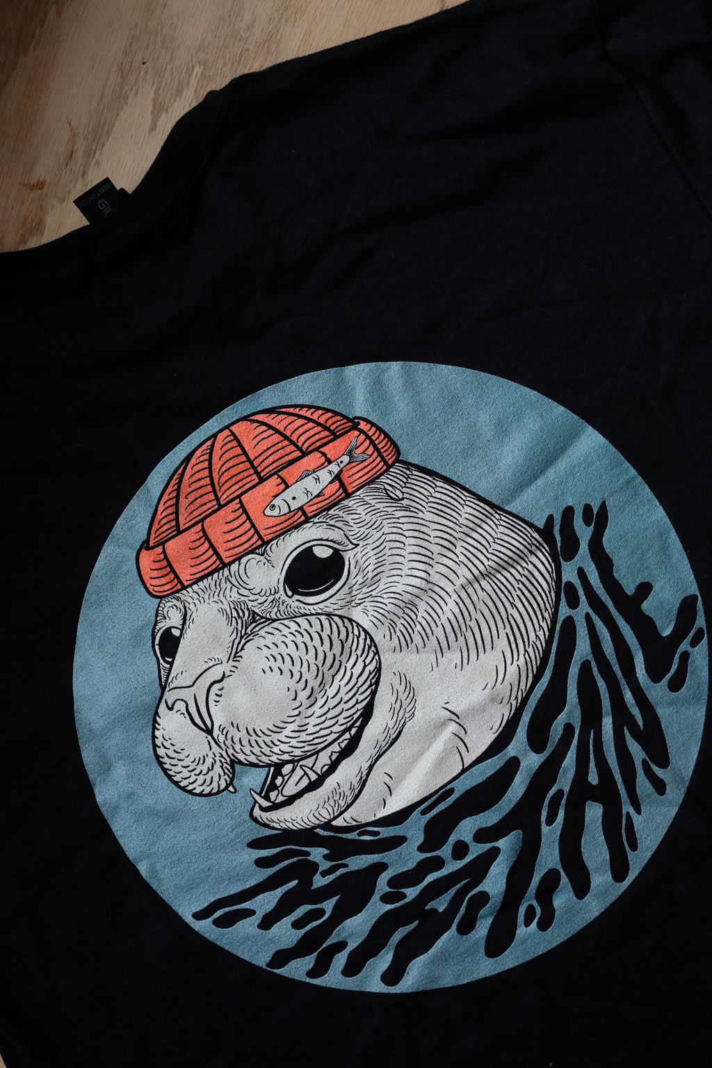 phoque commun ENFANT