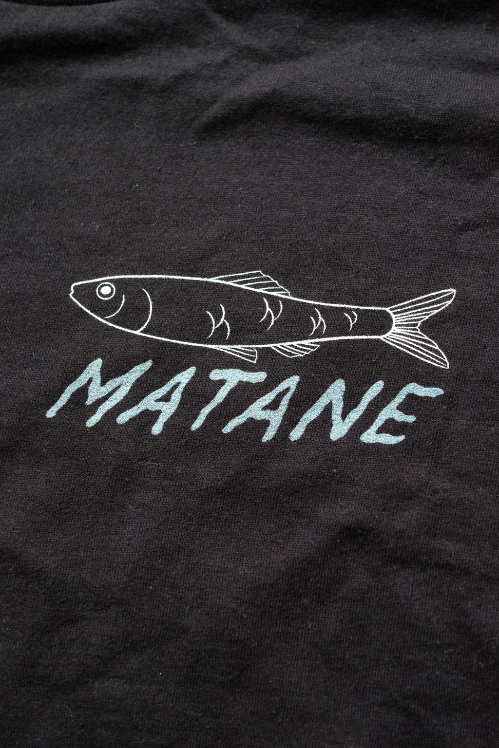 phoque commun ENFANT