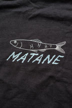 phoque commun ENFANT