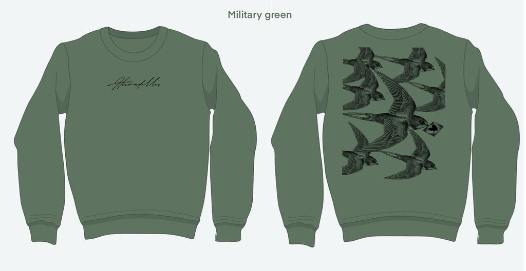 Hirondelle rustiques